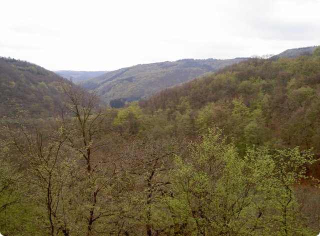 Bild0003.jpg