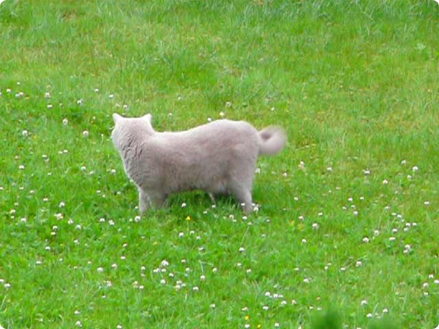 Bild0013.jpg