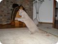 Bild0002.jpg