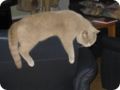 Bild0009.jpg