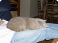 Bild0012.jpg