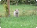 Bild0014.jpg