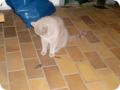 Bild0015.jpg