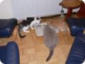 Bild0021.jpg