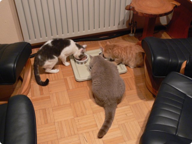 Bild0006.jpg