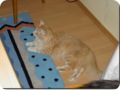Bild0003.jpg