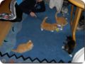 Bild0004.jpg