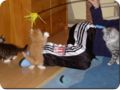 Bild0006.jpg