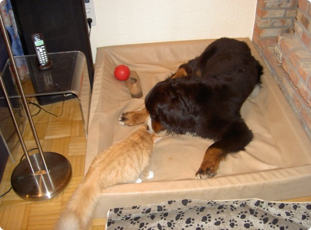 Bild0019.jpg