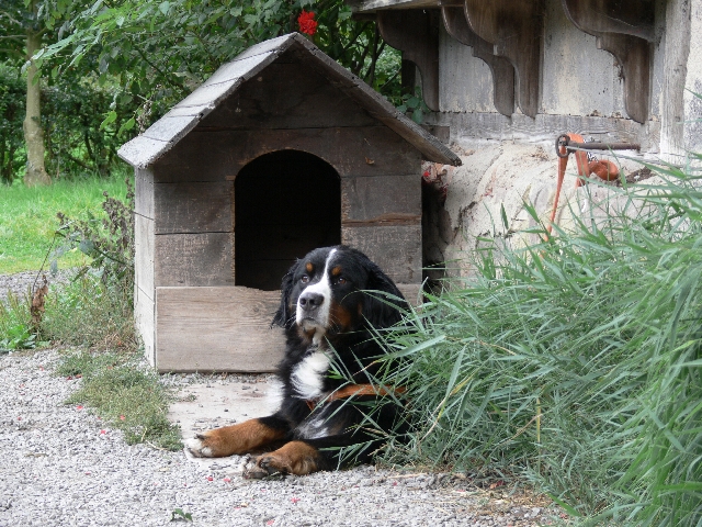 Bild0036.jpg