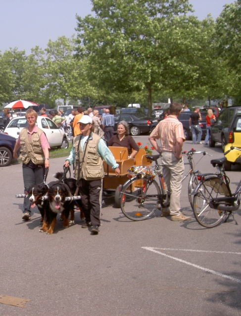 Bild0045.jpg
