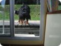 Bild0011.jpg