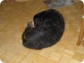Bild0025.jpg
