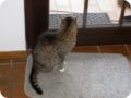 Bild0011.jpg